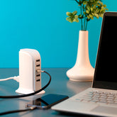 MULTICONECTOR CORREGGIO.