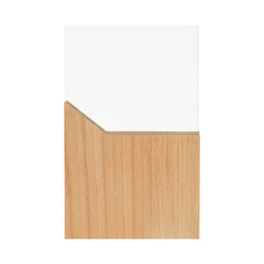 RECONOCIMIENTO LYNOR