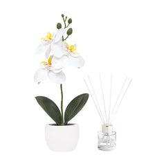 SET DECORATIVO FIORA