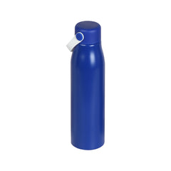 BOTELLA VIDIN.