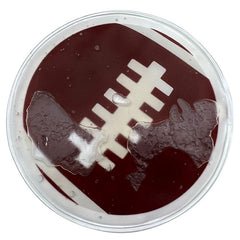 Iced Patch Deportivos AMERICANO