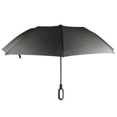 Paraguas Tamesis