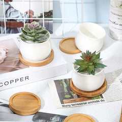 Set Coasters Kari