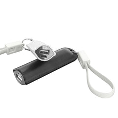 Power Bank Stern