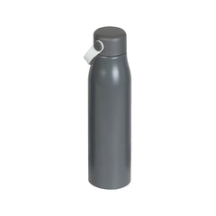 BOTELLA VIDIN.